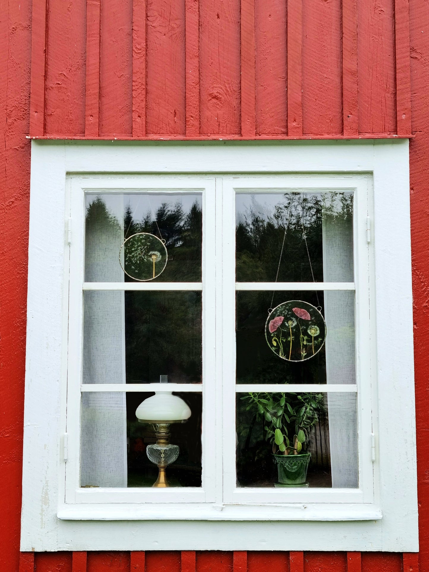 Dandelion and Poppy botanical wall art. Upcycled glass and flowers, decorative terrarium wall decor.