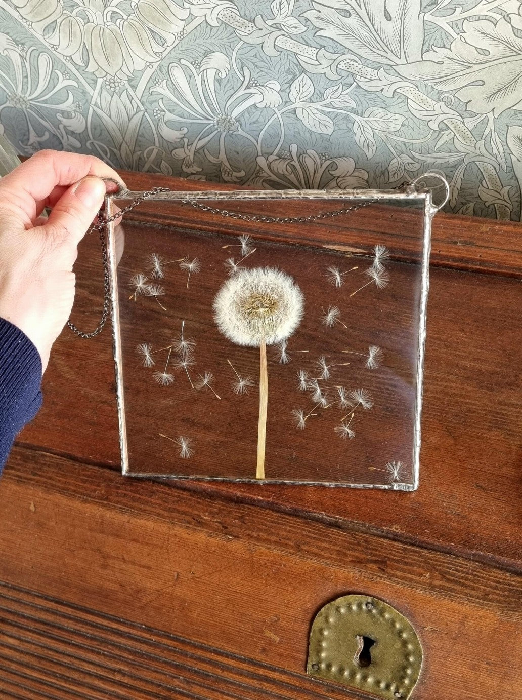 Dandelion botanical wall art, Terrarium decor. Square.