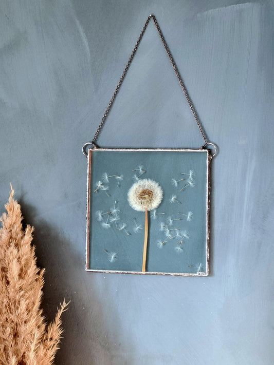 Dandelion botanical wall art, Terrarium decor. Square.