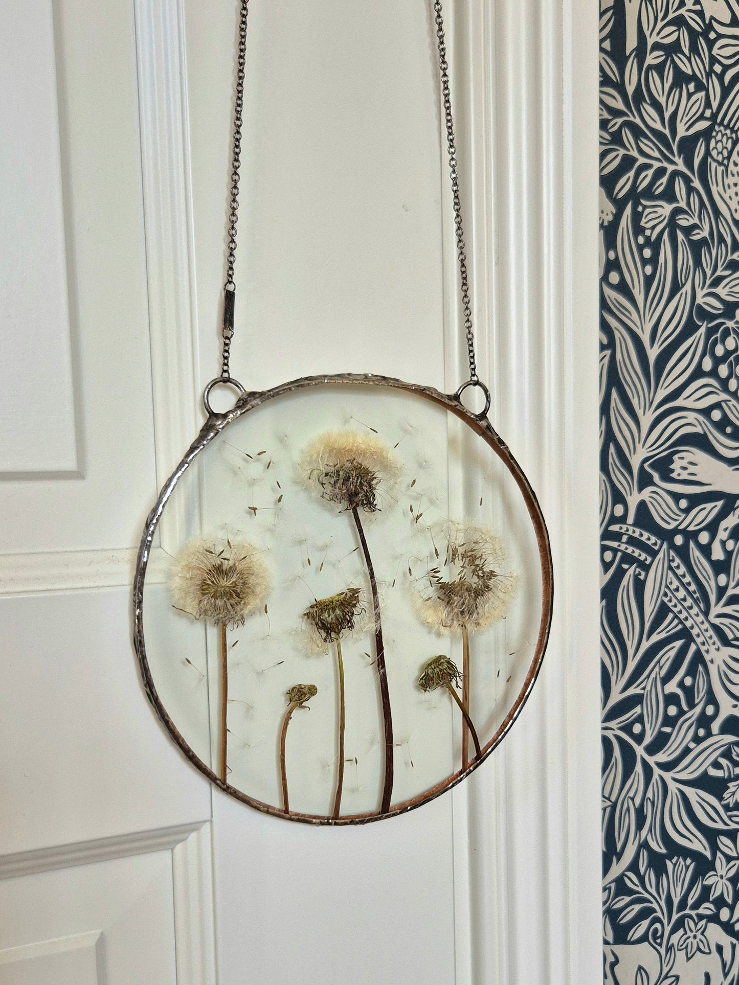 Dandelion botanical window decoration, Terrarium decor. Round