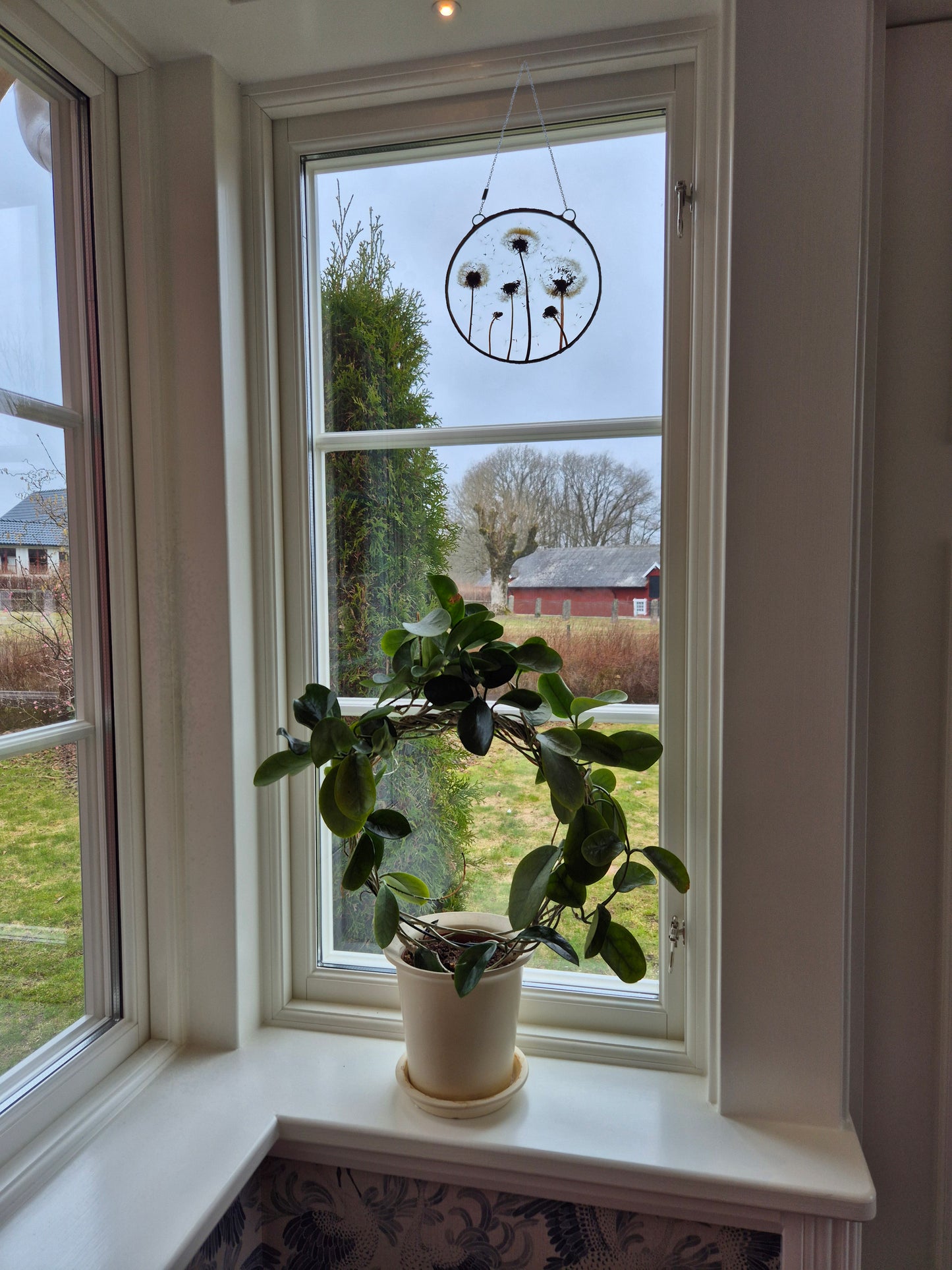 Dandelion botanical window decoration, Terrarium decor. Round