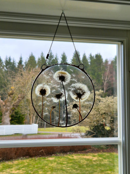 Dandelion botanical window decoration, Terrarium decor. Round