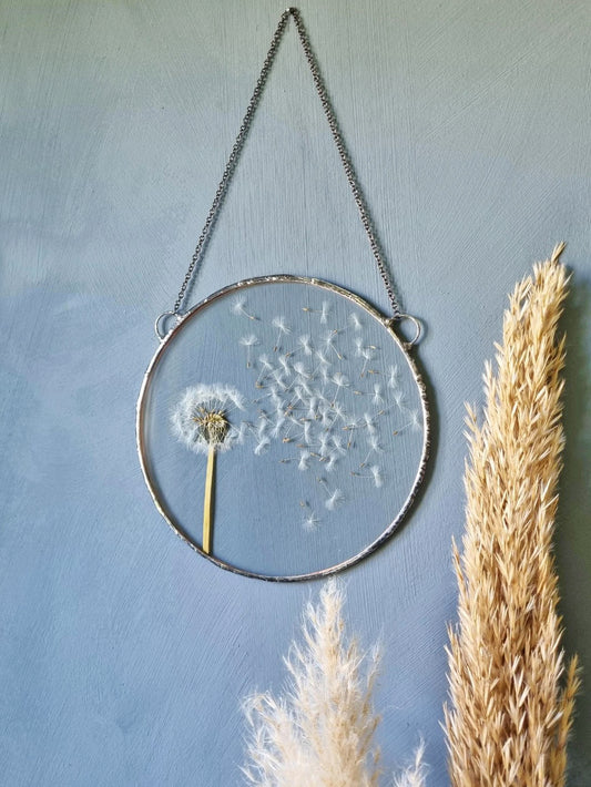 Dandelion botanical wall art, Terrarium decor. Round