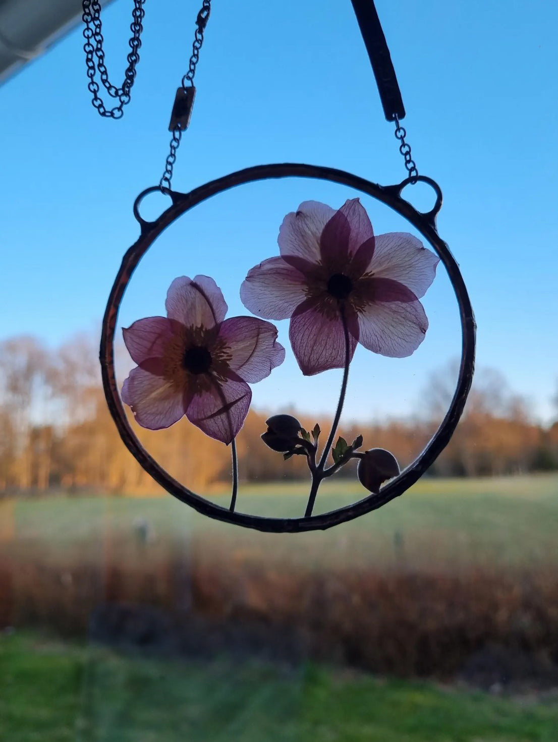 Mother's Day, wall hanging, Anemone, Cosmos or Queen Anne's lace Terrarium decor.